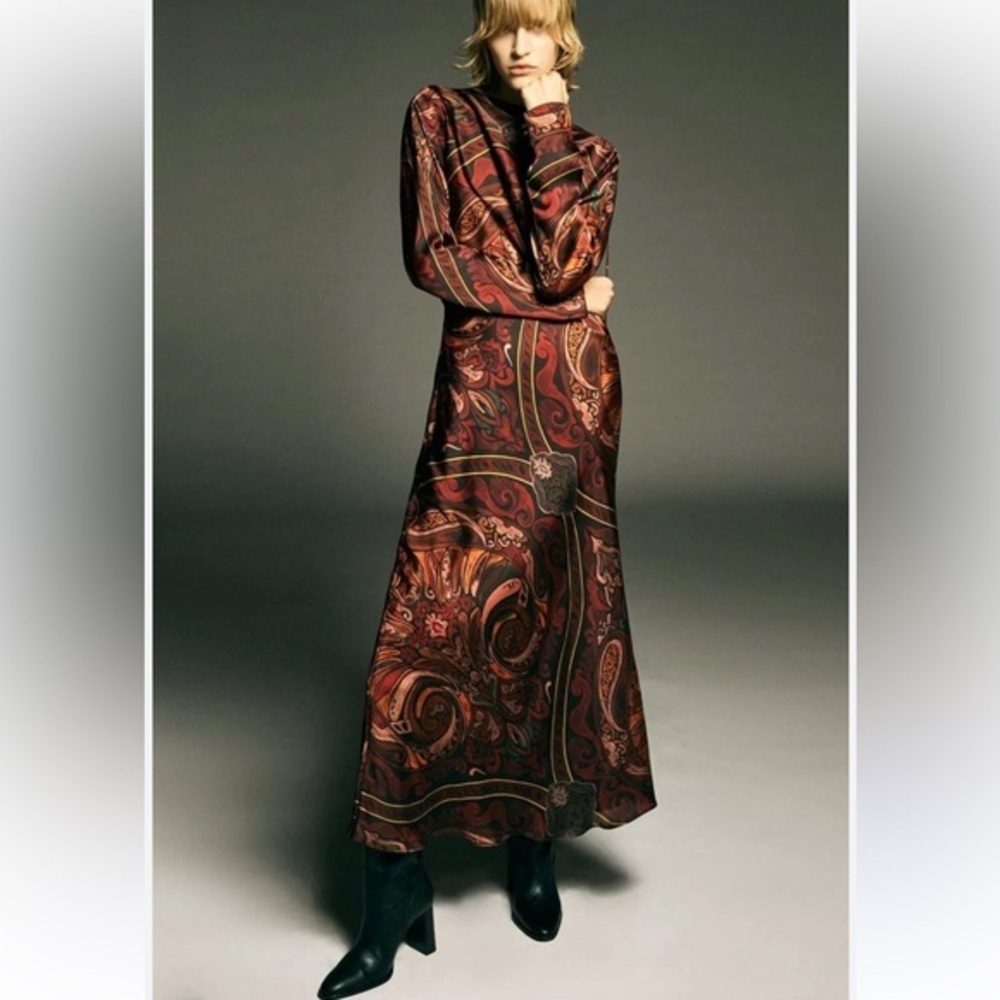 Zara Multicolor Paisley Long Sleeve Dress